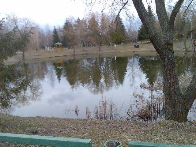 Циблі з panoramio.com - Циблі