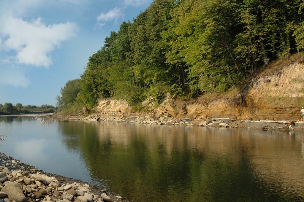 Сулятичі з panoramio.com - Sulyatychi