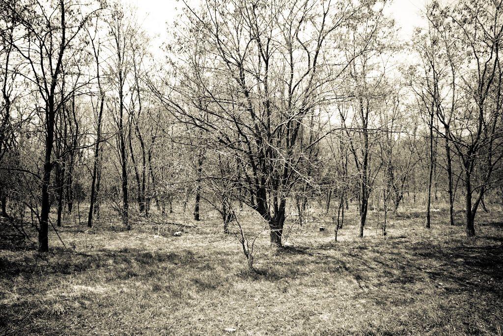 Харківці з panoramio.com - Харківці