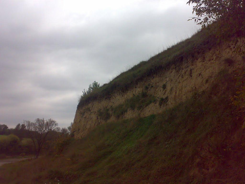 Малополовецьке з panoramio.com - Малополовецьке