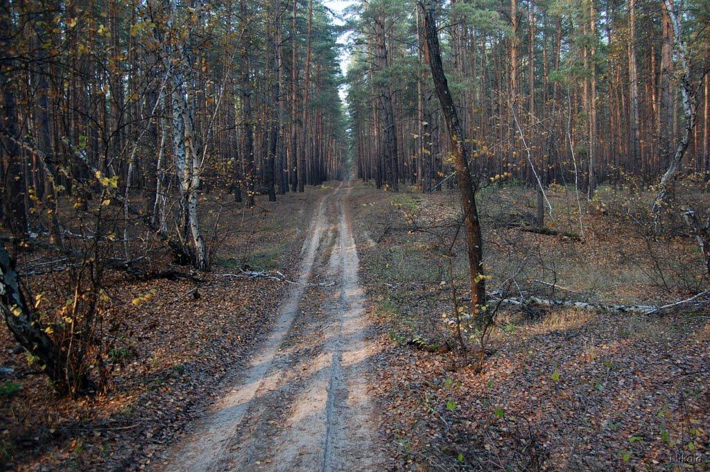 Осколонівка з panoramio.com - Осколонівка