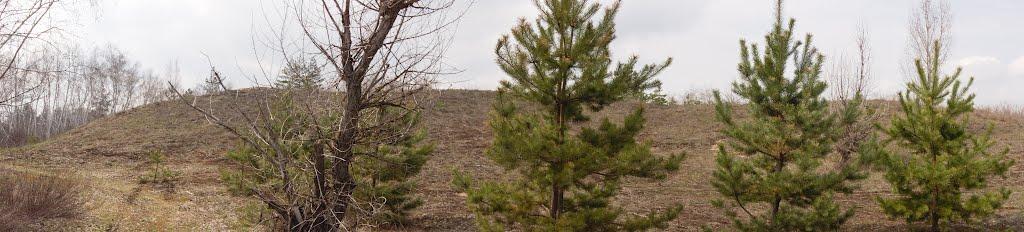 Кряківка з panoramio.com - Кряковка