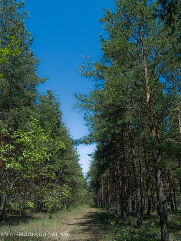 Крута Гора з panoramio.com - Крута Гора