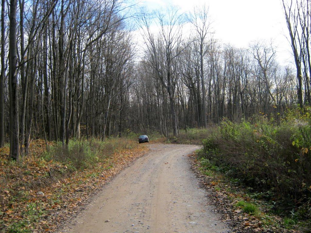 Кияниця з panoramio.com - Кияниця