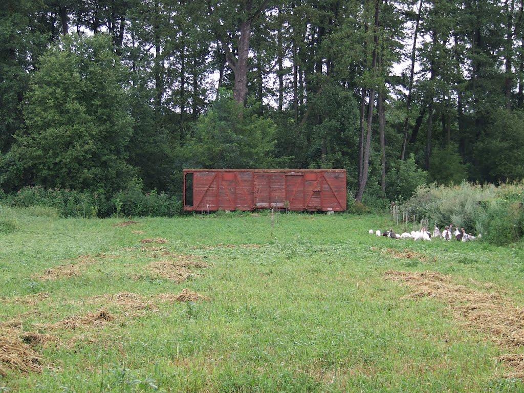 Червоне з panoramio.com - Червоне