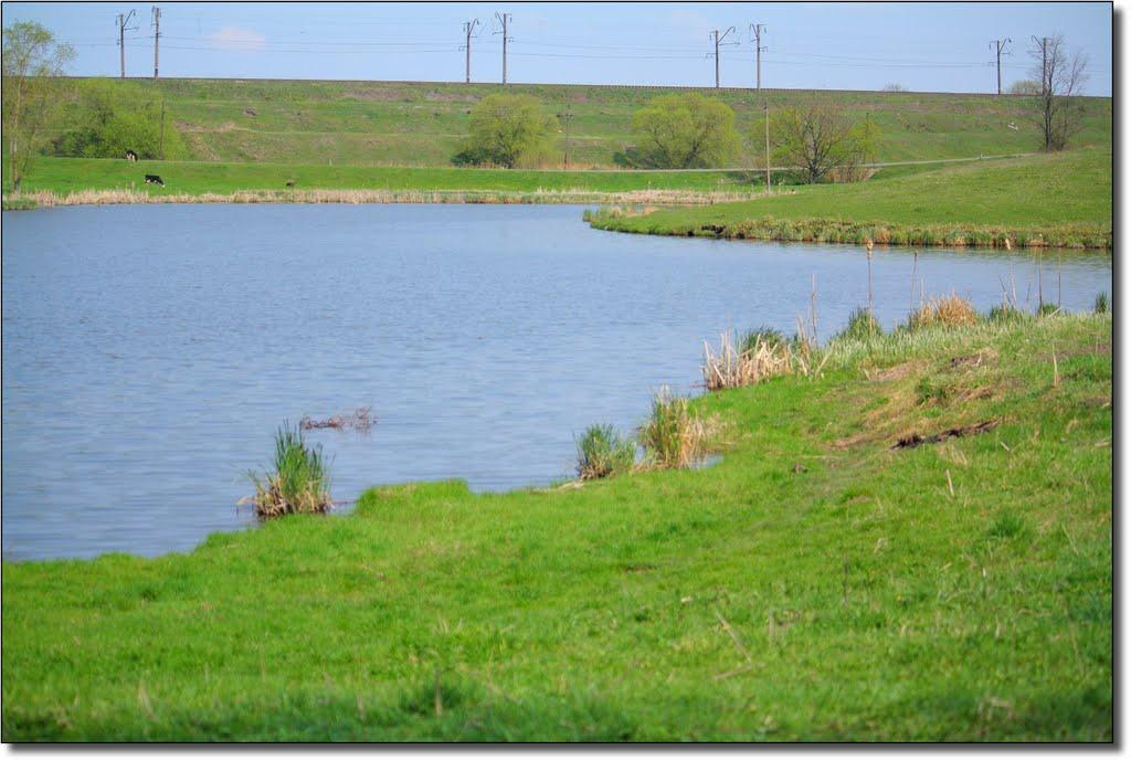 Семенівка з panoramio.com - Семенівка