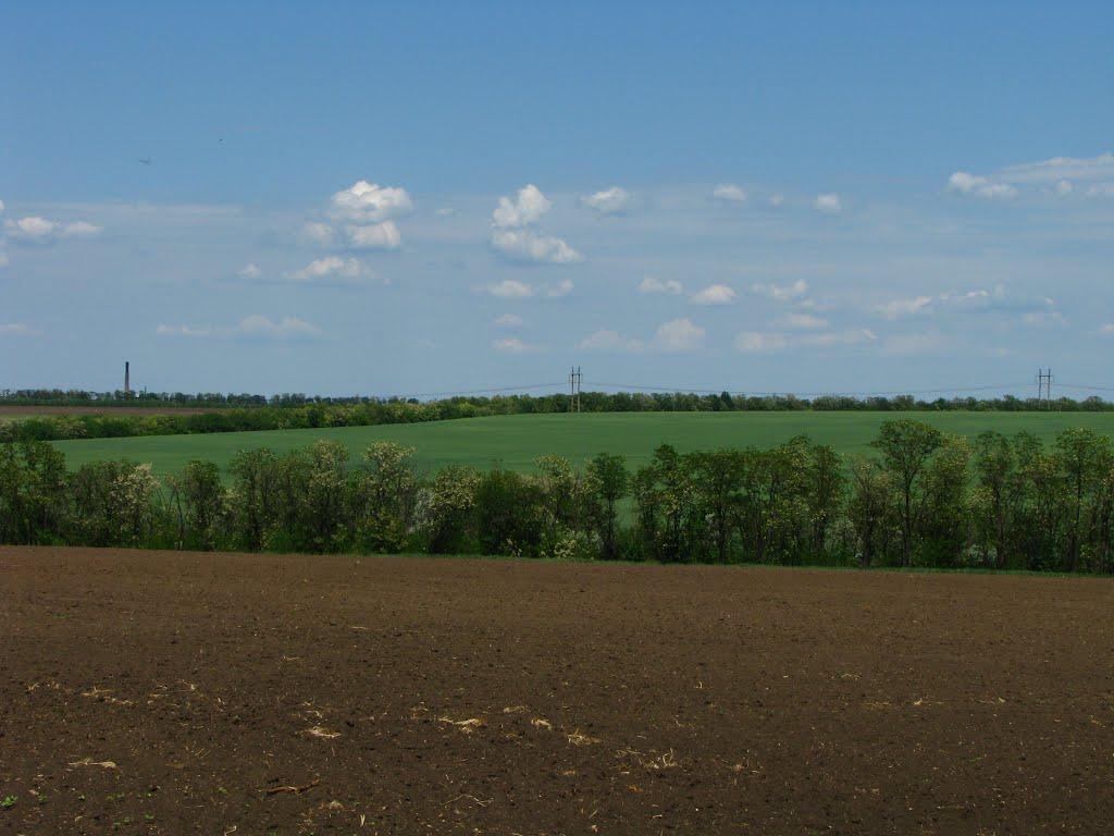 Першотравенськ з panoramio.com - Першотравенск