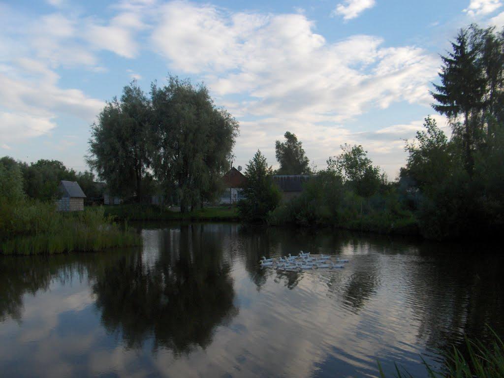 Врублівка з panoramio.com - Врублівка