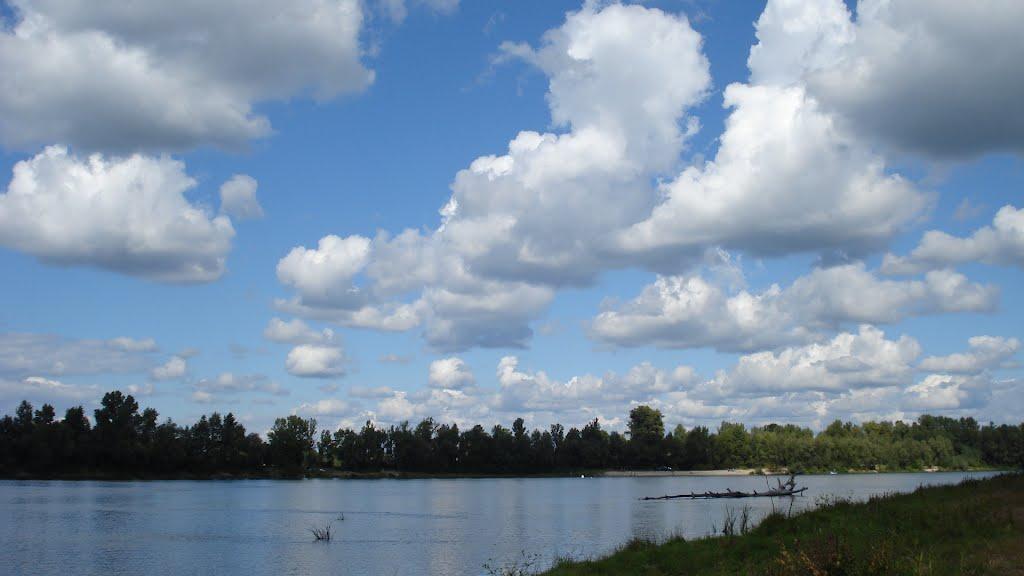 Новосілки з panoramio.com - Новоселки