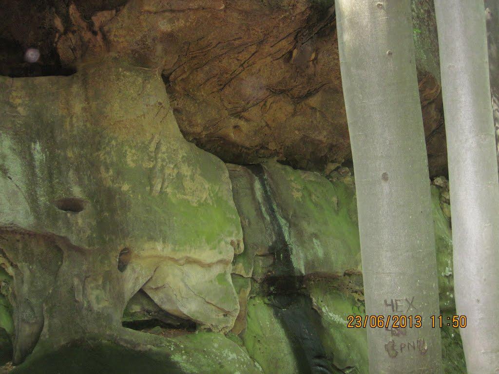 Хорови з panoramio.com - Хорови