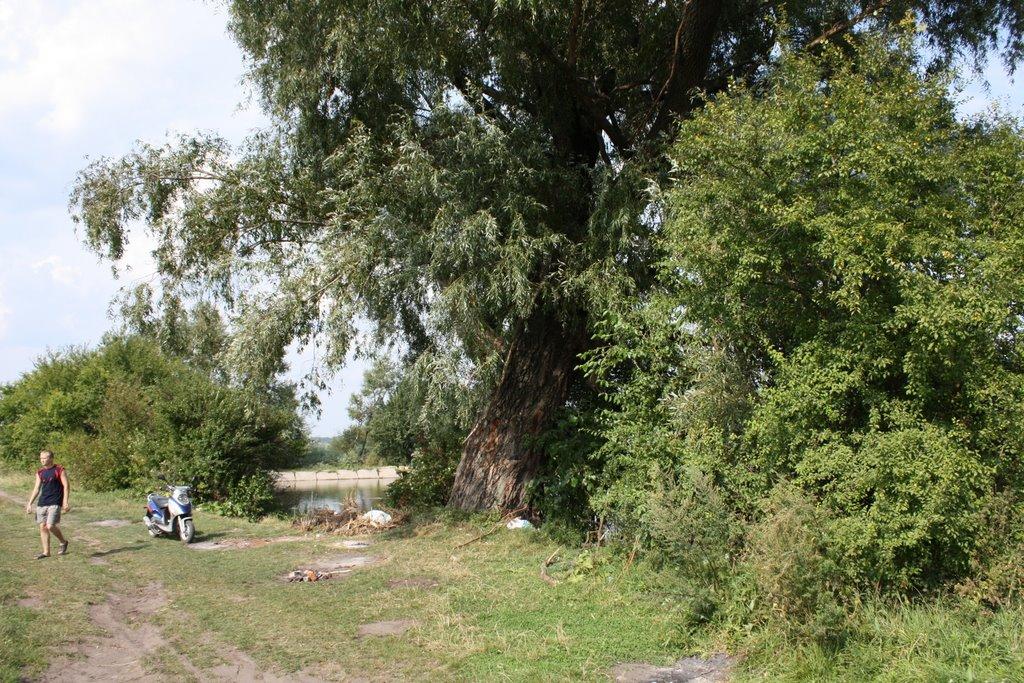 Оленівка з panoramio.com - Оленівка