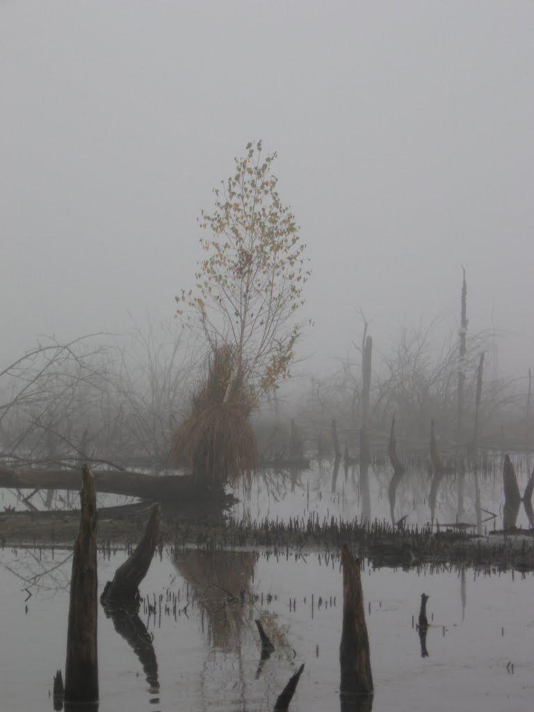 Ірдинь з panoramio.com - Ирдынь