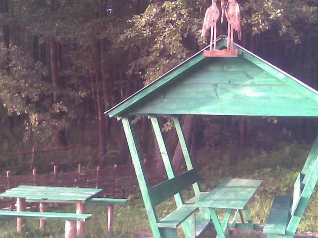 Камінь з panoramio.com - Камінь