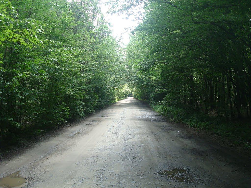 Майдан-Вербецький з panoramio.com - Майдан-Вербецький