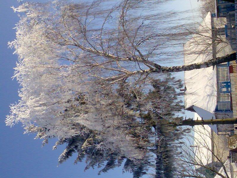 Зарубинці з panoramio.com - Зарубинці