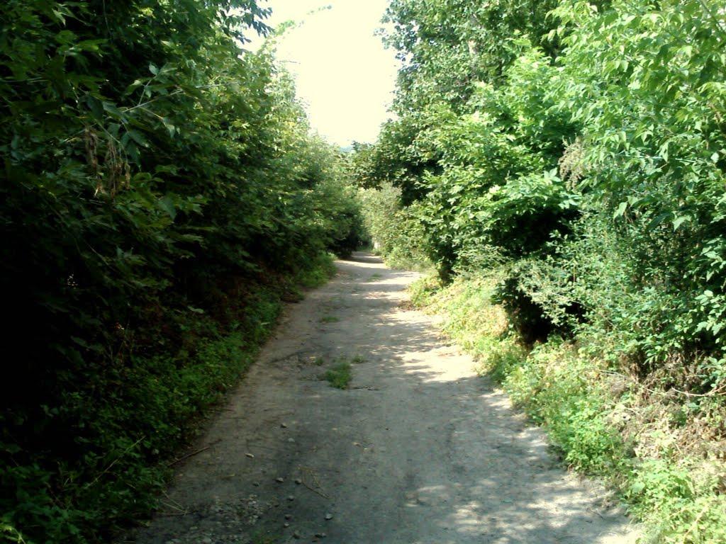 Микитяни з panoramio.com - Микитяни