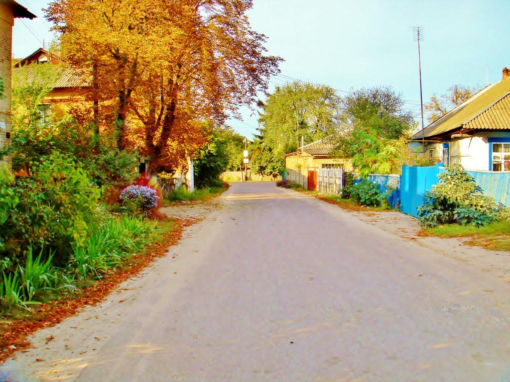 Димер з panoramio.com - Дымер