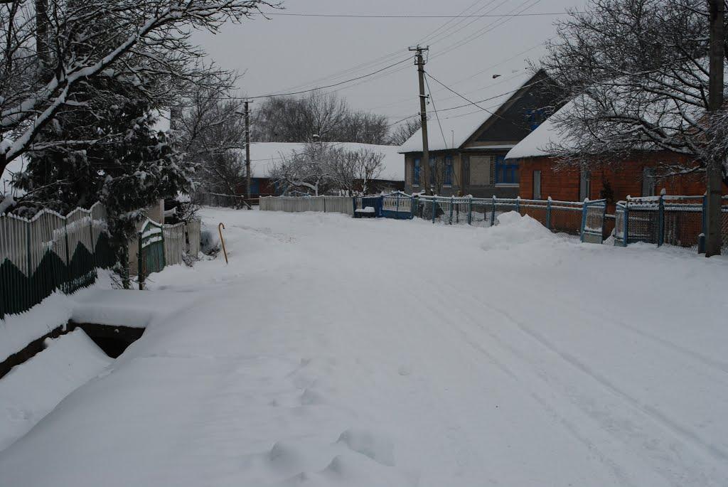 Мізоч з panoramio.com - Мізоч