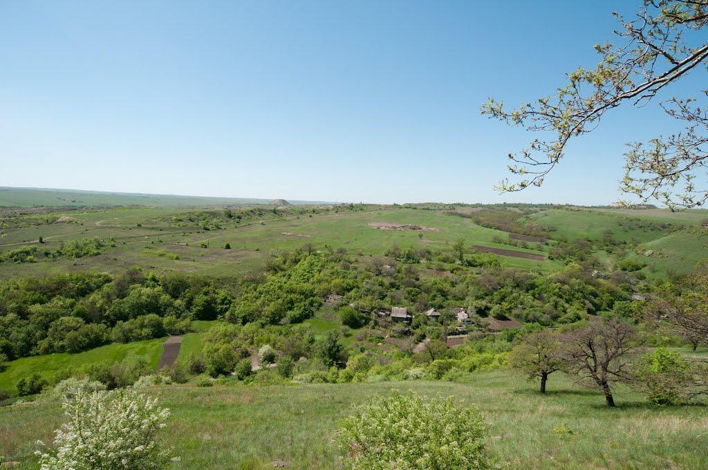 Селезнівка з panoramio.com - Селезневка