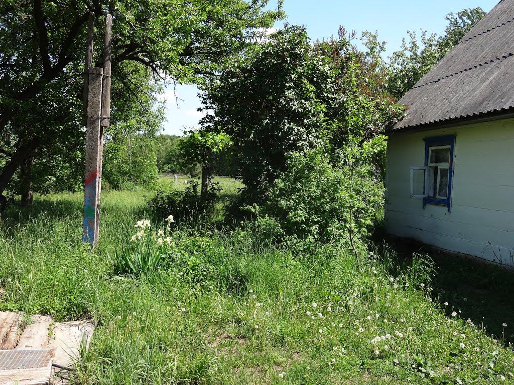 Курганці з panoramio.com - Курганцы