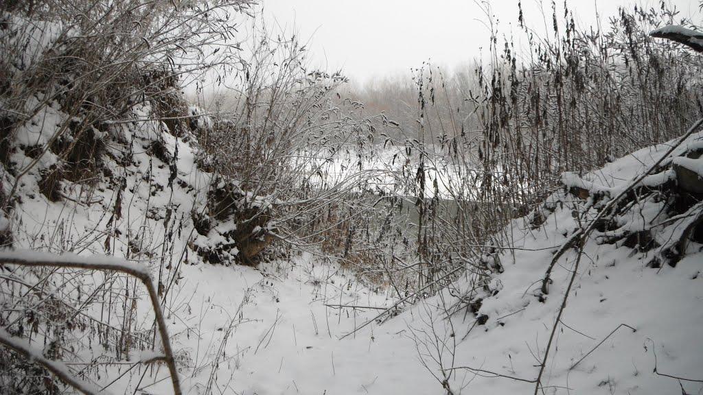 Соломоново з panoramio.com (ч.2) - Соломоново