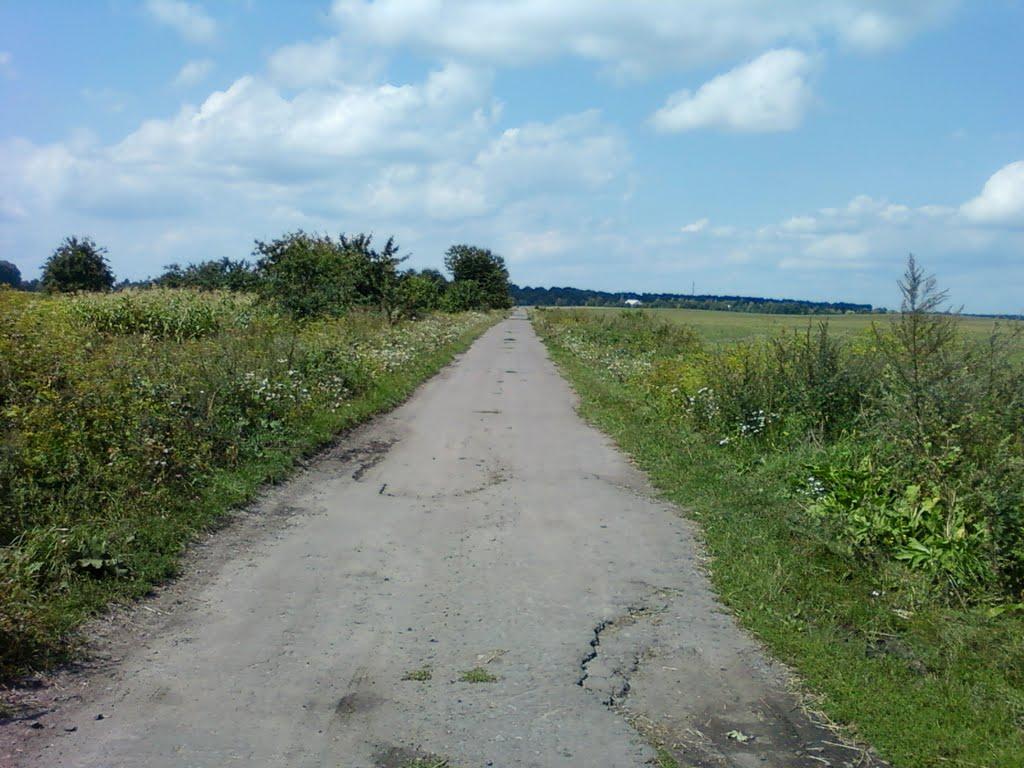 Сальник з panoramio.com - Сальник