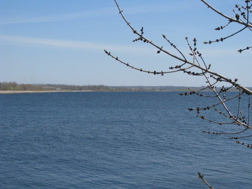Червоногригорівка з panoramio.com - Червоногригоровка