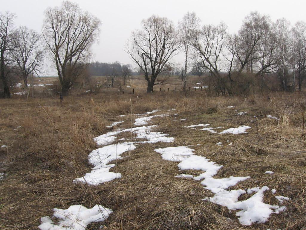 Красні Лози з panoramio.com - Красні Лози