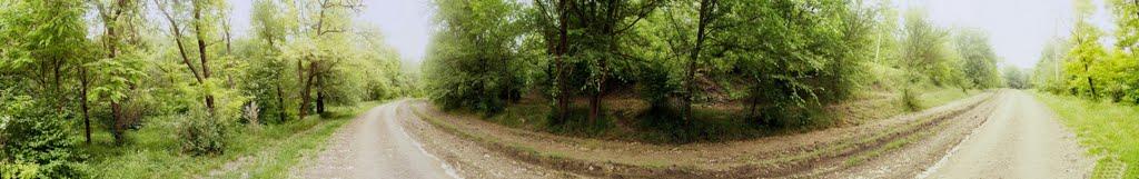 Доманівка з panoramio.com - Доманевка