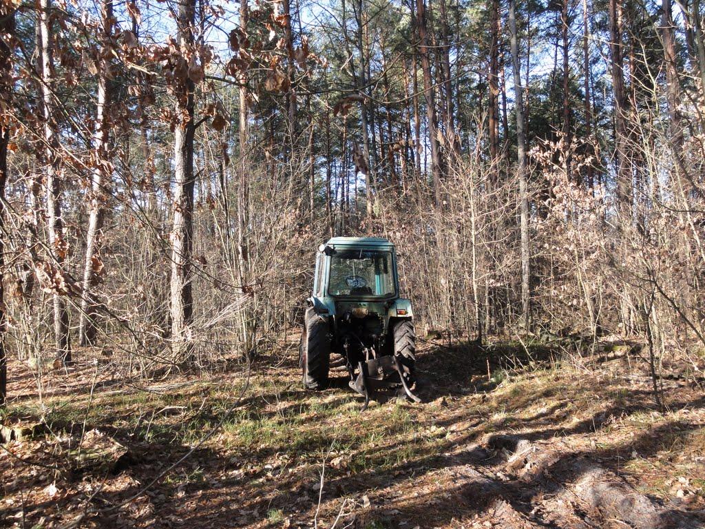 Тетерівка з panoramio.com - Тетеревка