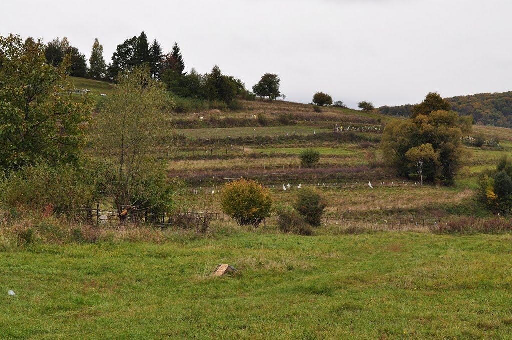 Завосина з panoramio.com (ч.2) - Завосина