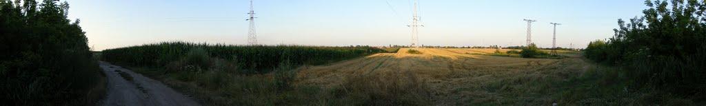 Циків з panoramio.com - Цыков