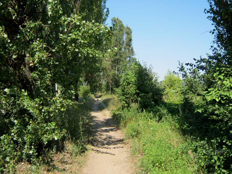 Кам'яне Поле з panoramio.com - Каменное Поле