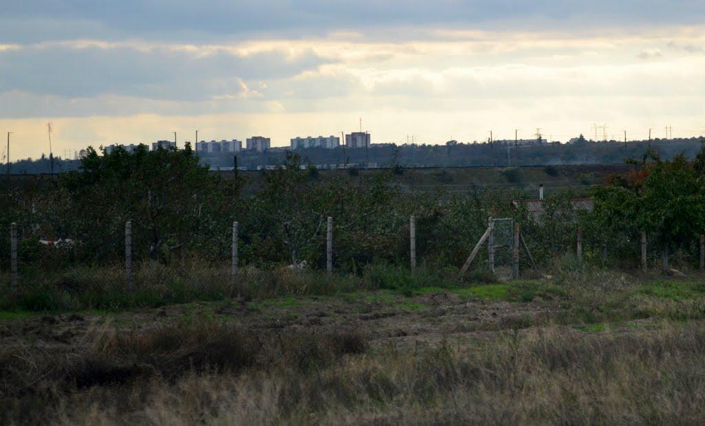 Павлівка з panoramio.com - Павлівка