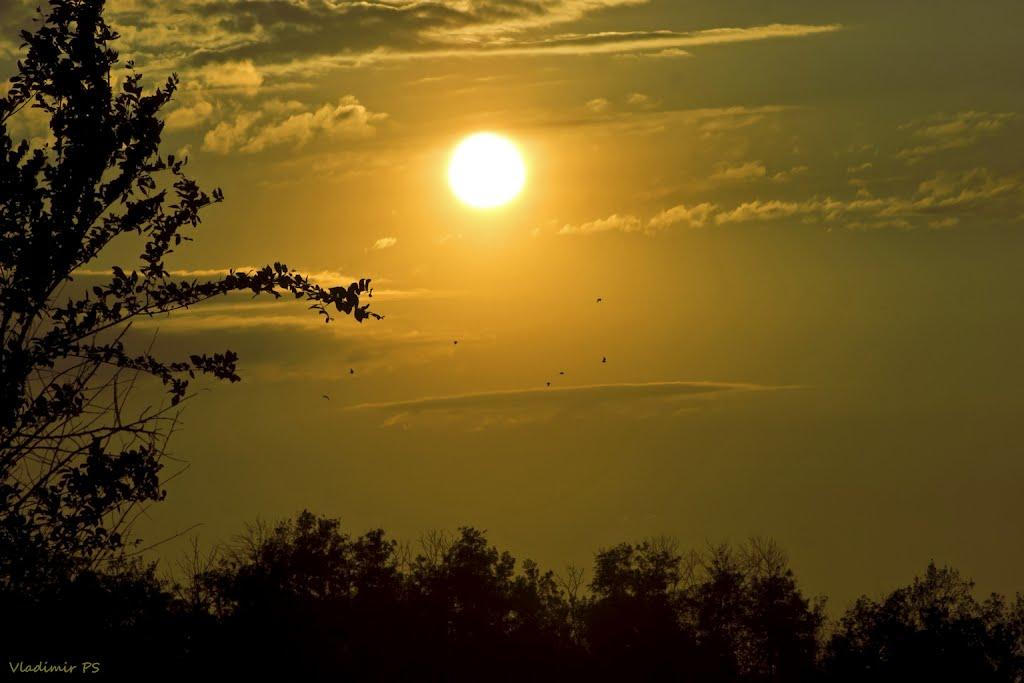 Братсько-Семенівка з panoramio.com - Братсько-Семенівка