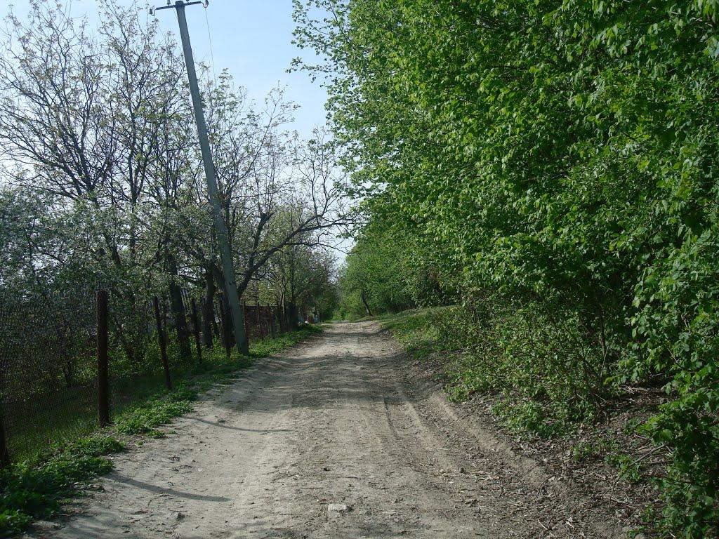 Маціорськ з panoramio.com - Маціорськ