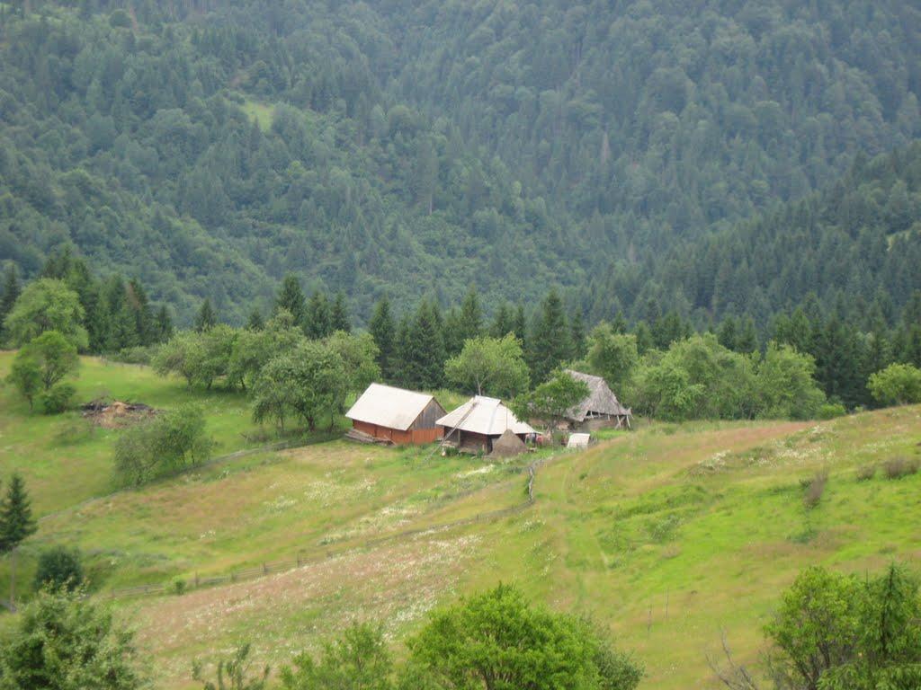 Сойми з panoramio.com - Сойми