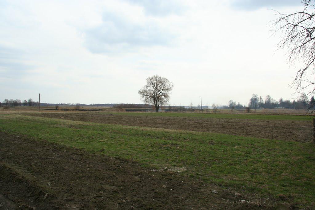 Середи з panoramio.com - Середи