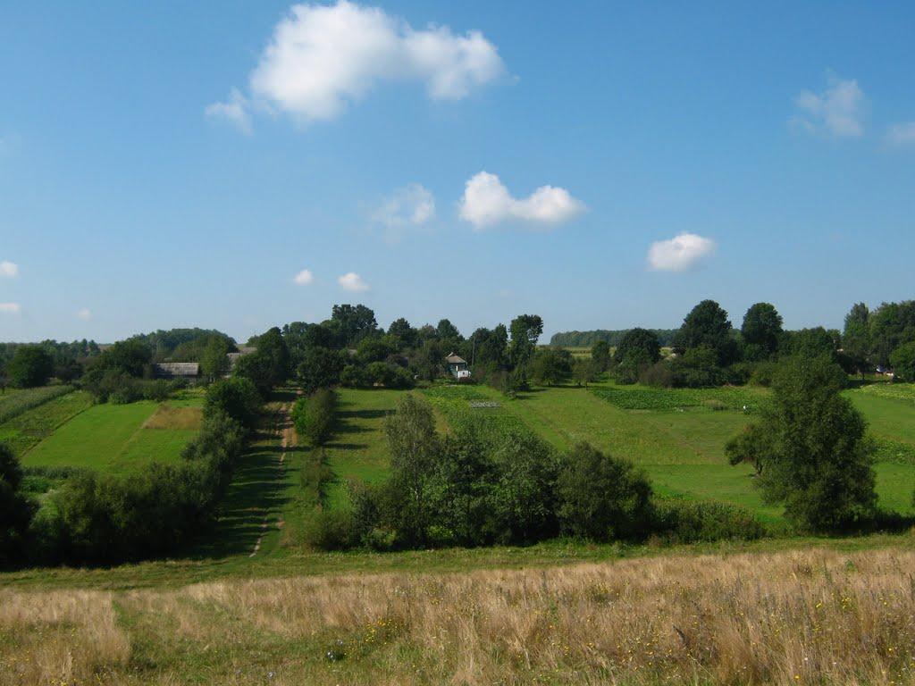 Северинівка з panoramio.com - Severynivka