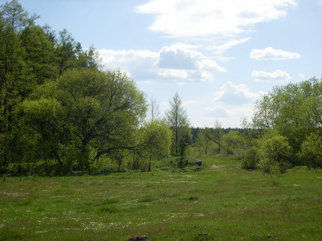 Крилівка з panoramio.com - Крилівка