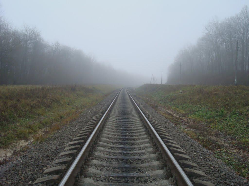 Томашівка з panoramio.com - Томашівка
