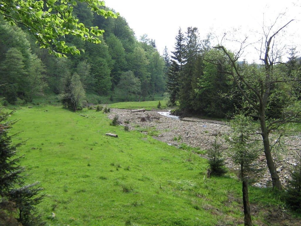 Слобода-Болехівська з panoramio.com - Слобода-Болехівська