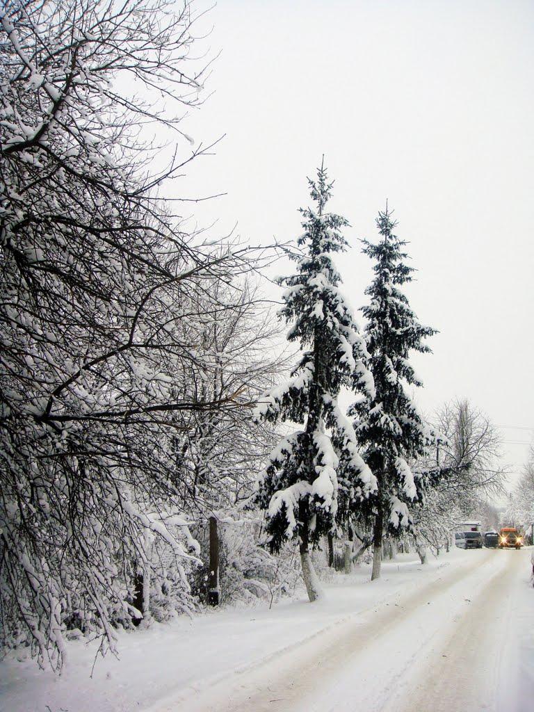 Дунаївці з panoramio.com - Дунаївці