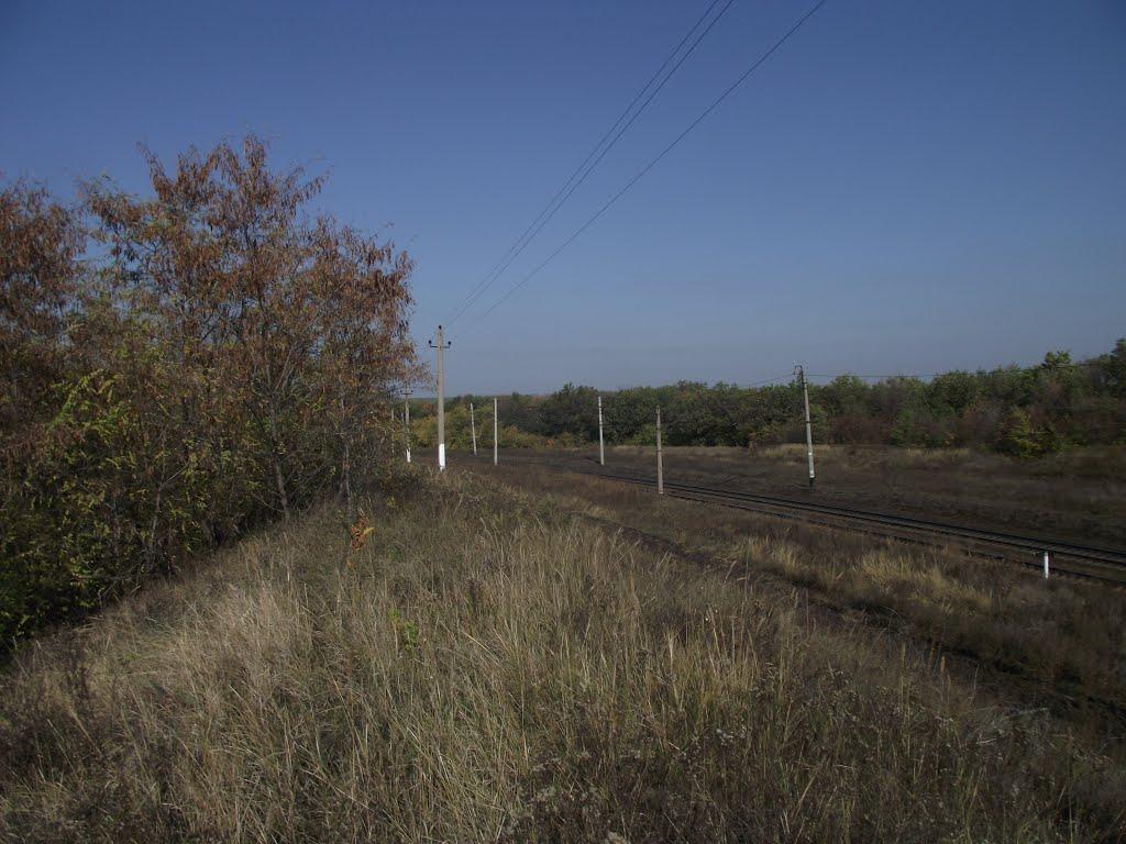 Кліщіївка з panoramio.com - Клещиевка