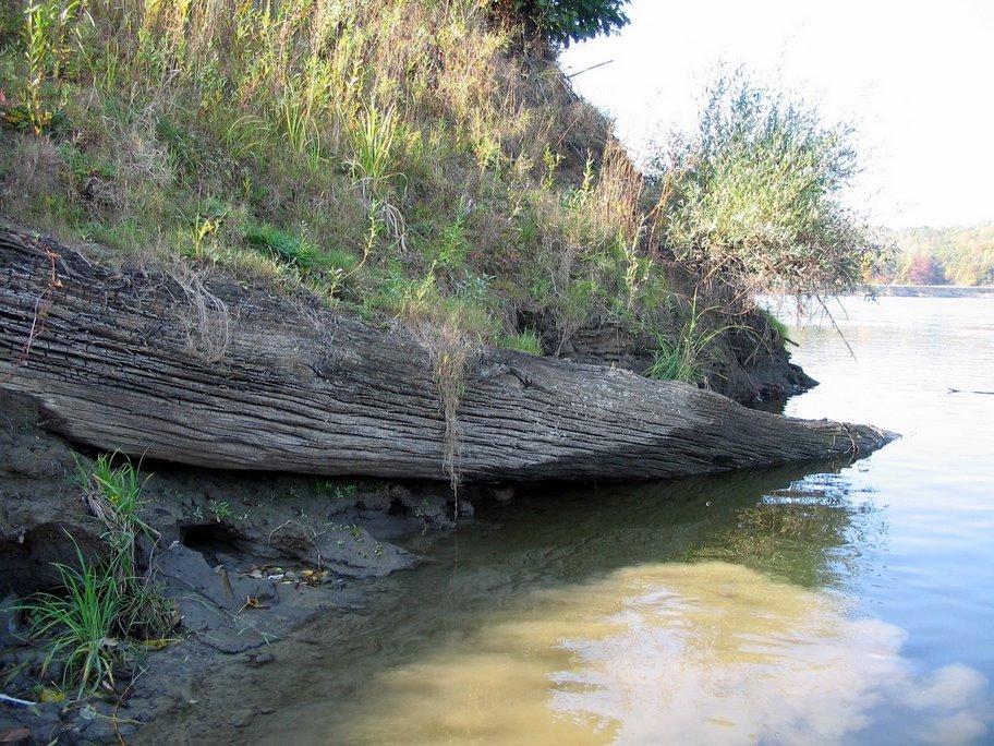 Погорілівка з panoramio.com - Pogorilivka