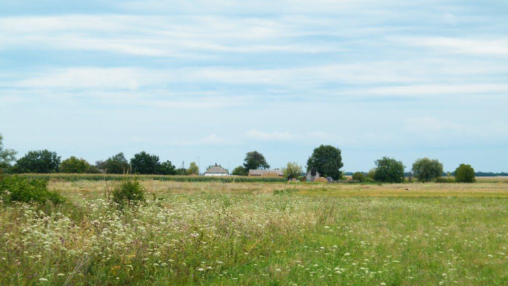 Харченки з panoramio.com - Харченки