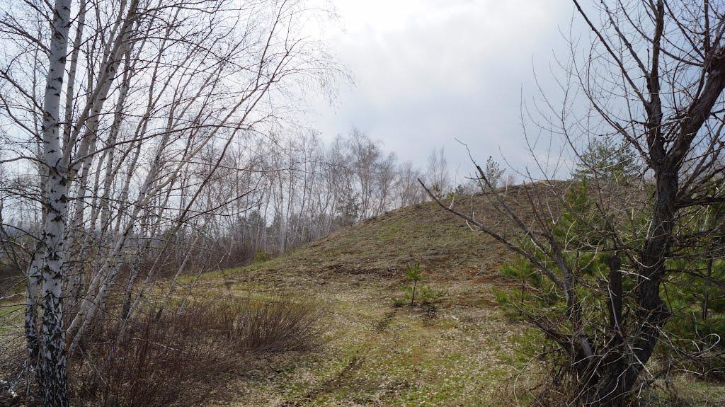 Кряківка з panoramio.com - Кряковка