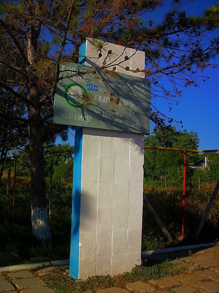 Поштове з panoramio.com - Поштове