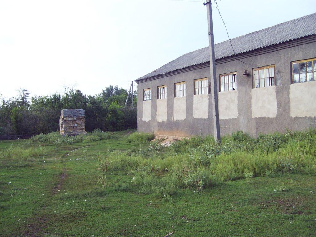 Грушка з panoramio.com - Грушка