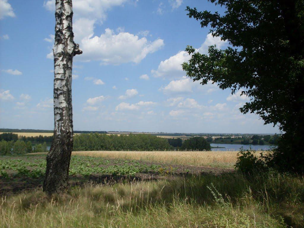 Городок з panoramio.com - Городок